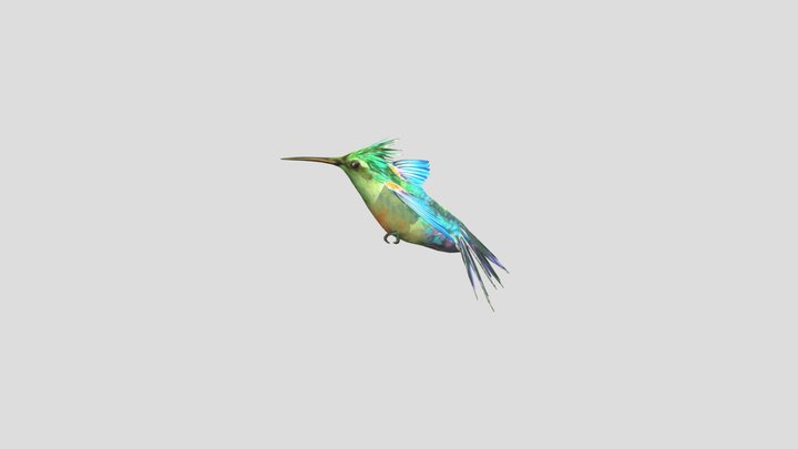 Humming bird Flying 3D Model