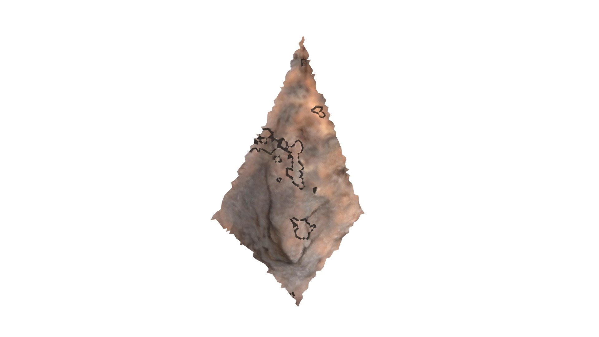 D6 - aurochs MNIR