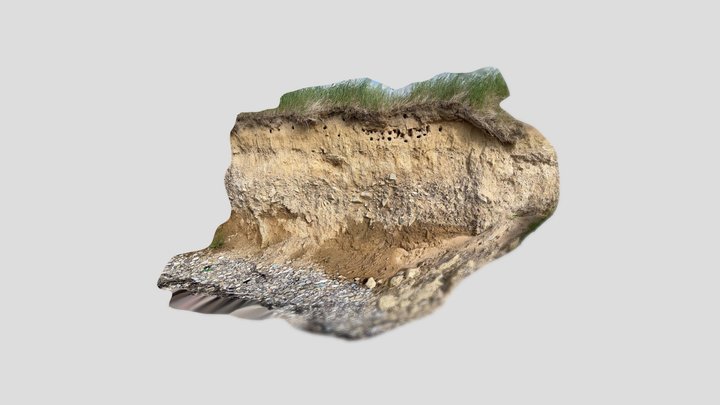 Sandmartin burrows in Crushea, West Waterford 3D Model