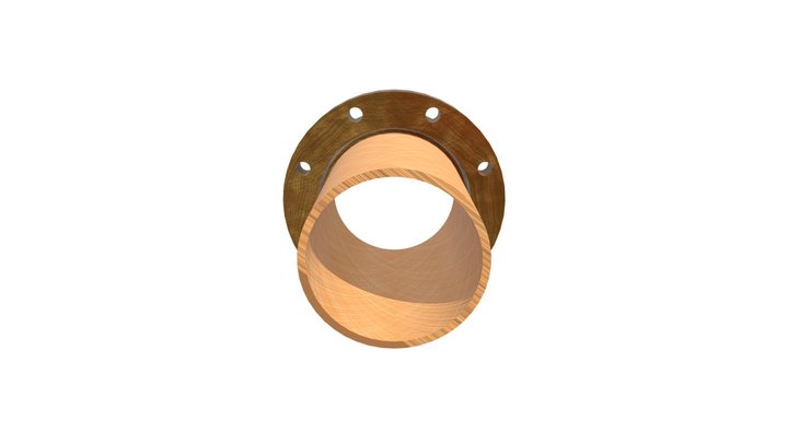 Loose and Collar Flange 3D Model