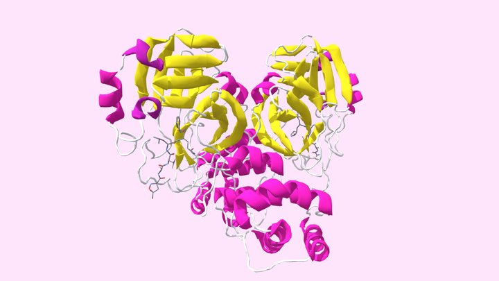 The Crystal Structure Of COVID-19 Main Protease 3D Model