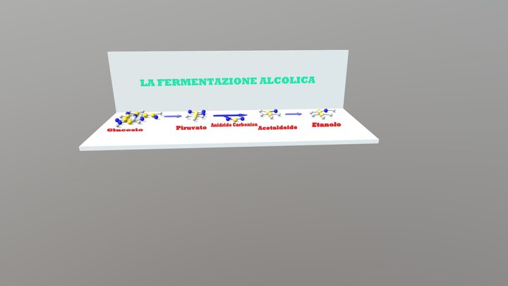 FermentazioneAlcolica-Pedrini 3D Model
