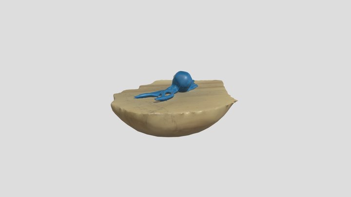 blue octopus – Modello 3D gratuito STL