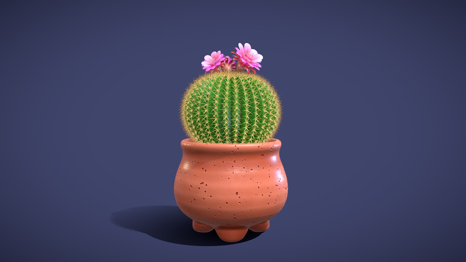 3D model Cactus 03 - This is a 3D model of the Cactus 03. The 3D model is about a colorful egg with a flower on top.