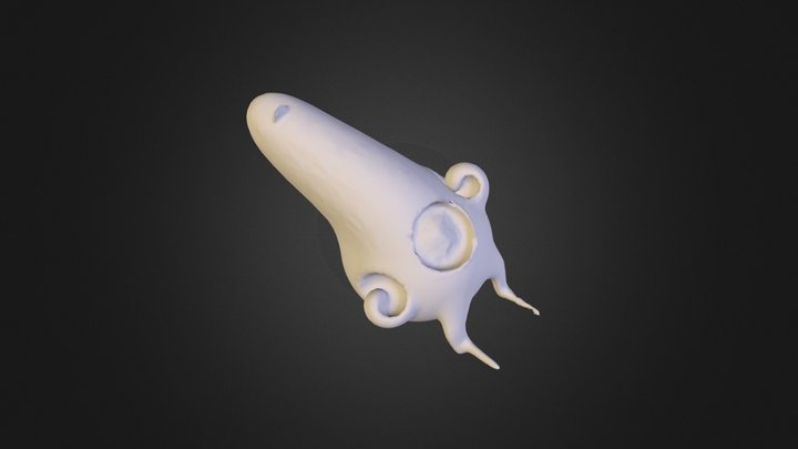 model 3D Model