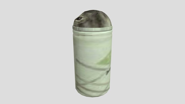 meow 3D Model