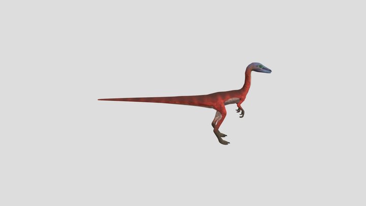 Compsognathus 3D Model