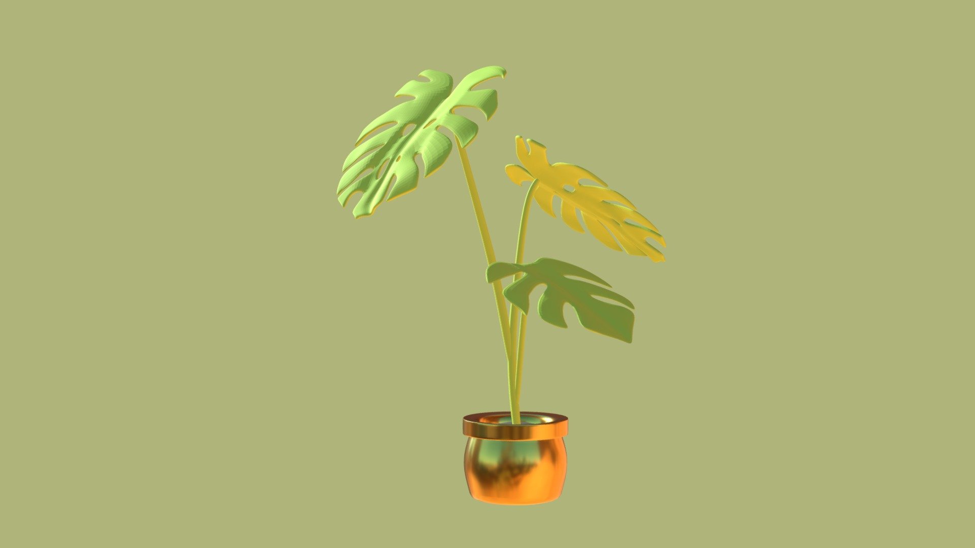 Monstera Deliciosa