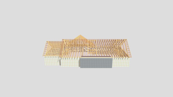 House_ Roof_ Design
