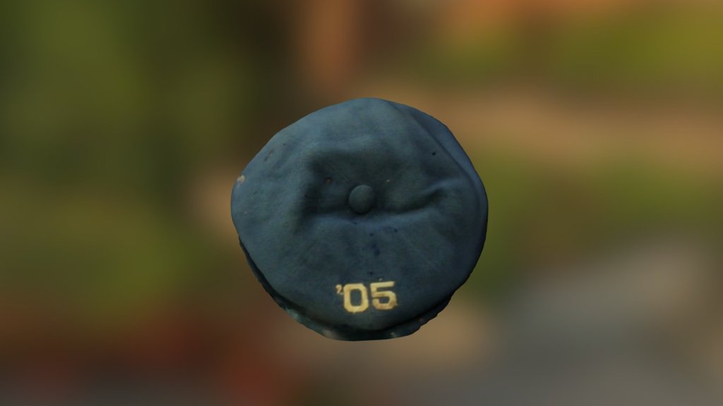 Beret of Clarence Reeds, 1905