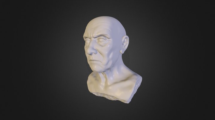 bust_model_01 3D Model