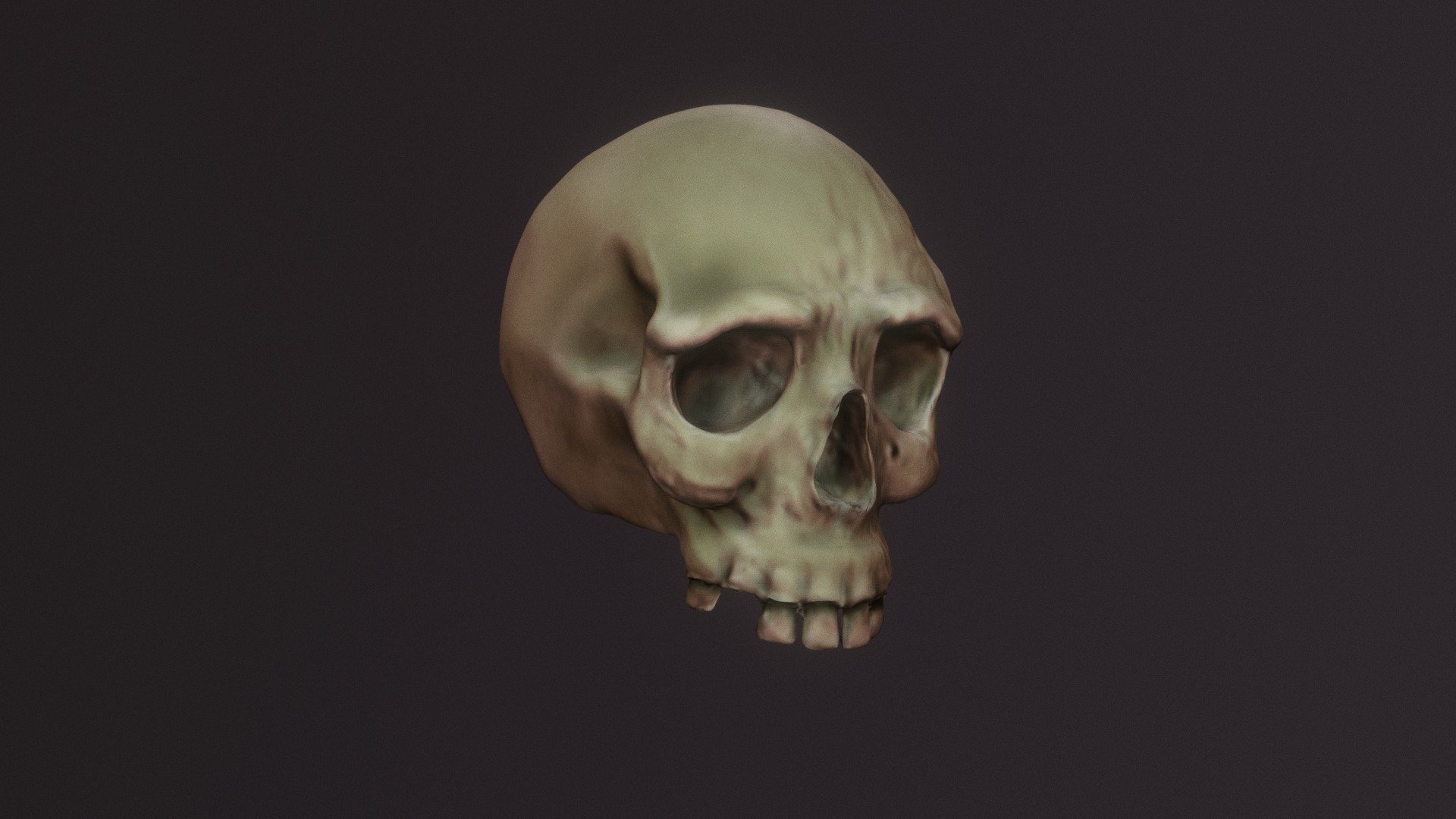 Skull