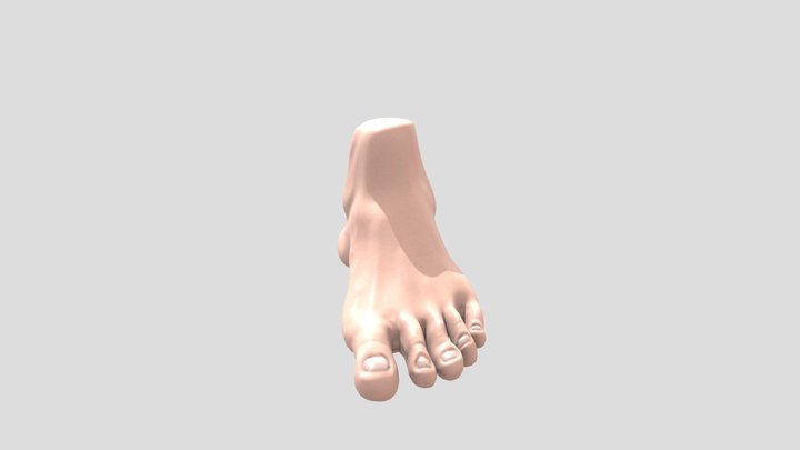My foot 3D Model