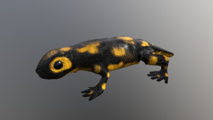 Geko 3D models - Sketchfab