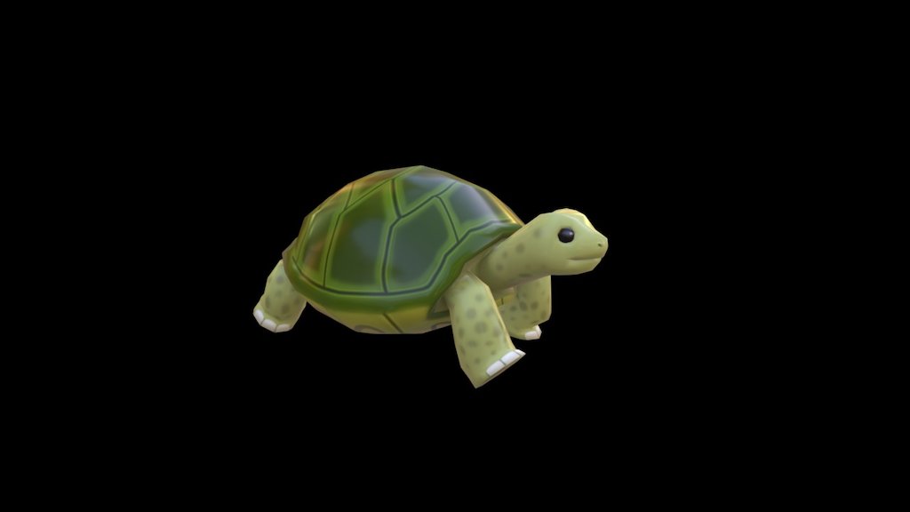 Turtle - 3d Model By Art V (@artv) [c06d4cc] - Sketchfab