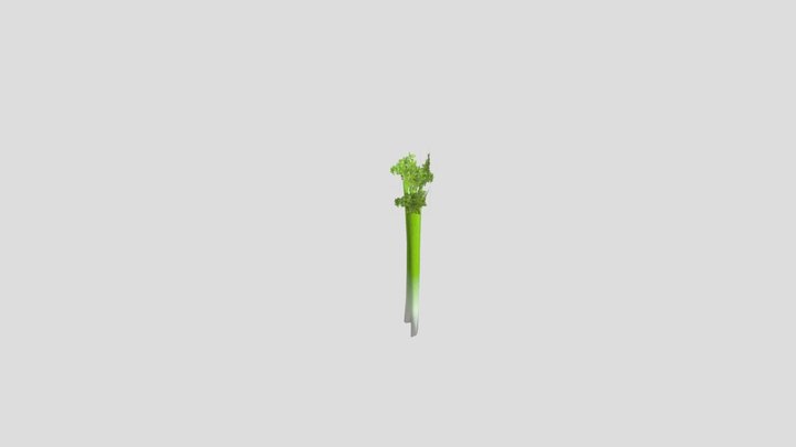 Celery 3D Model