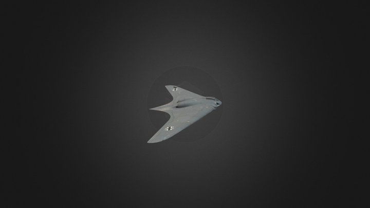 Ho 229 Model with Animation 3D Model