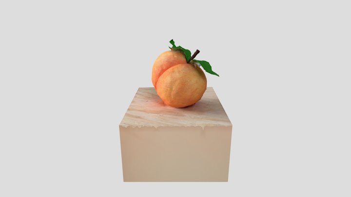 Scan 2023-04-18T23:02:03.712Z 3D Model