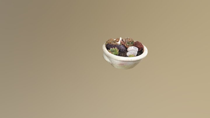 Photogrammetry_test_2 3D Model