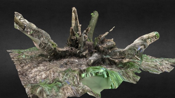funky stump 3D Model