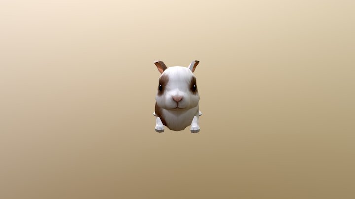 Rabbit 3D Model