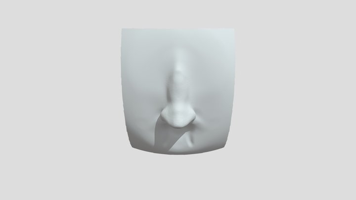 nose4 3D Model