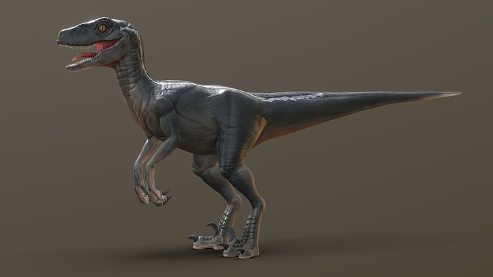 Jurassic Park Velociraptor 3D Model