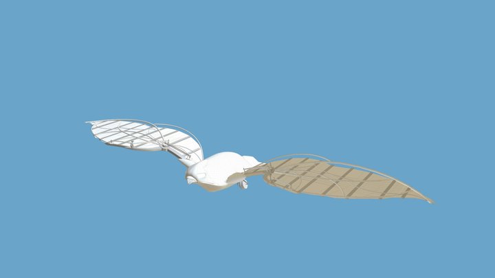Falcon Flying Castle 3D Model