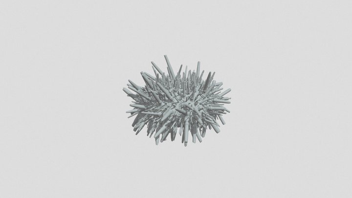 Heliocidaris crassispina 3D Model