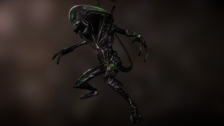 Alien Xenomorph 3D Model