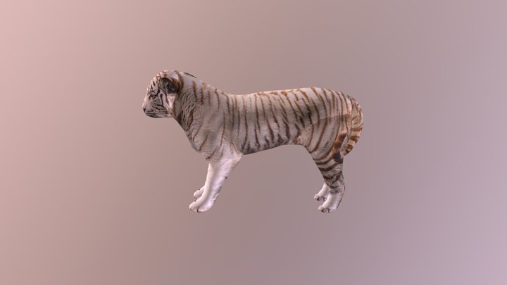 Smoothie-3d Tigre IAN 3D Model