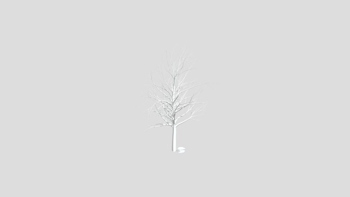 Tree 3D Model