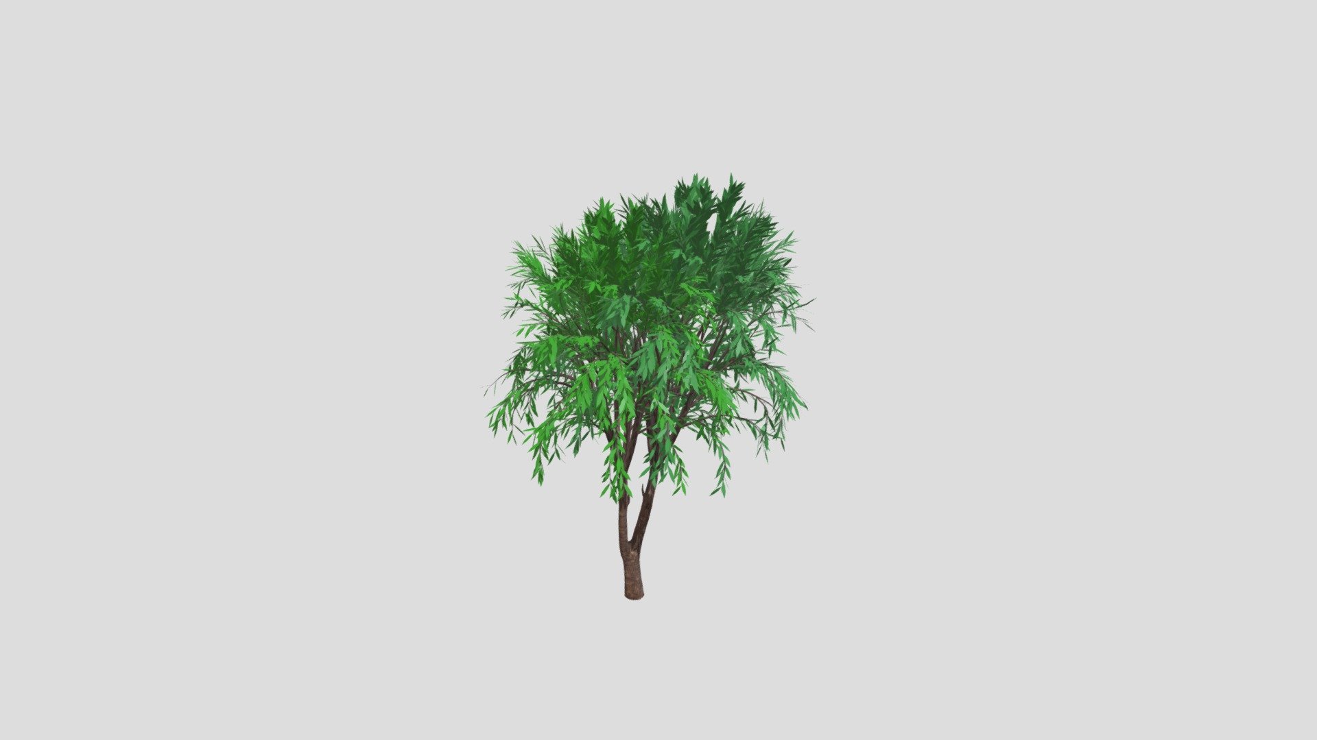 Tree - Download Free 3D model by heesunny99 [c090f7c] - Sketchfab