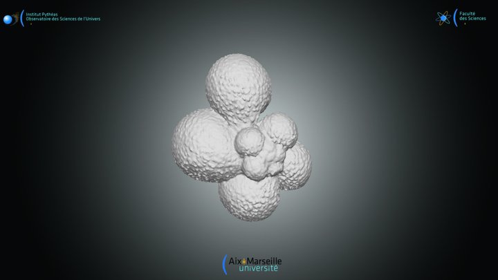 Foraminifera - Globigerinella calida – Modello 3D gratuito STL