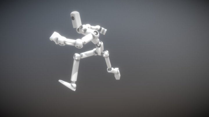 Modi Bot Skel 3D Model