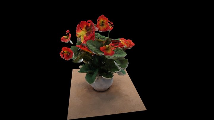 Flower 3d SCAN 3D Model