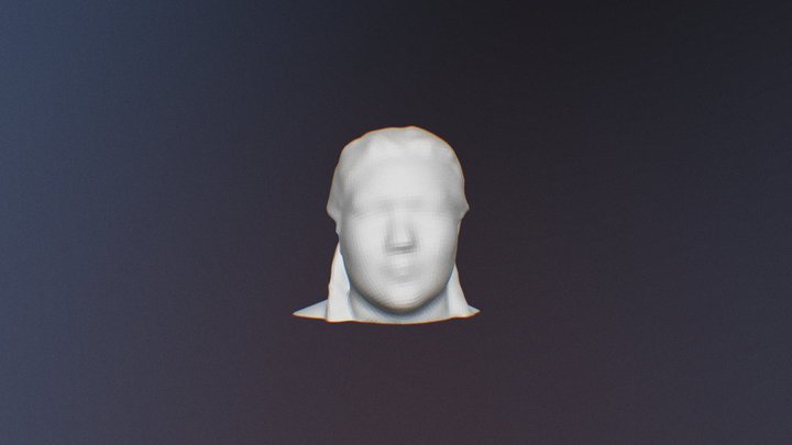 Head Photogrametry 3D Model