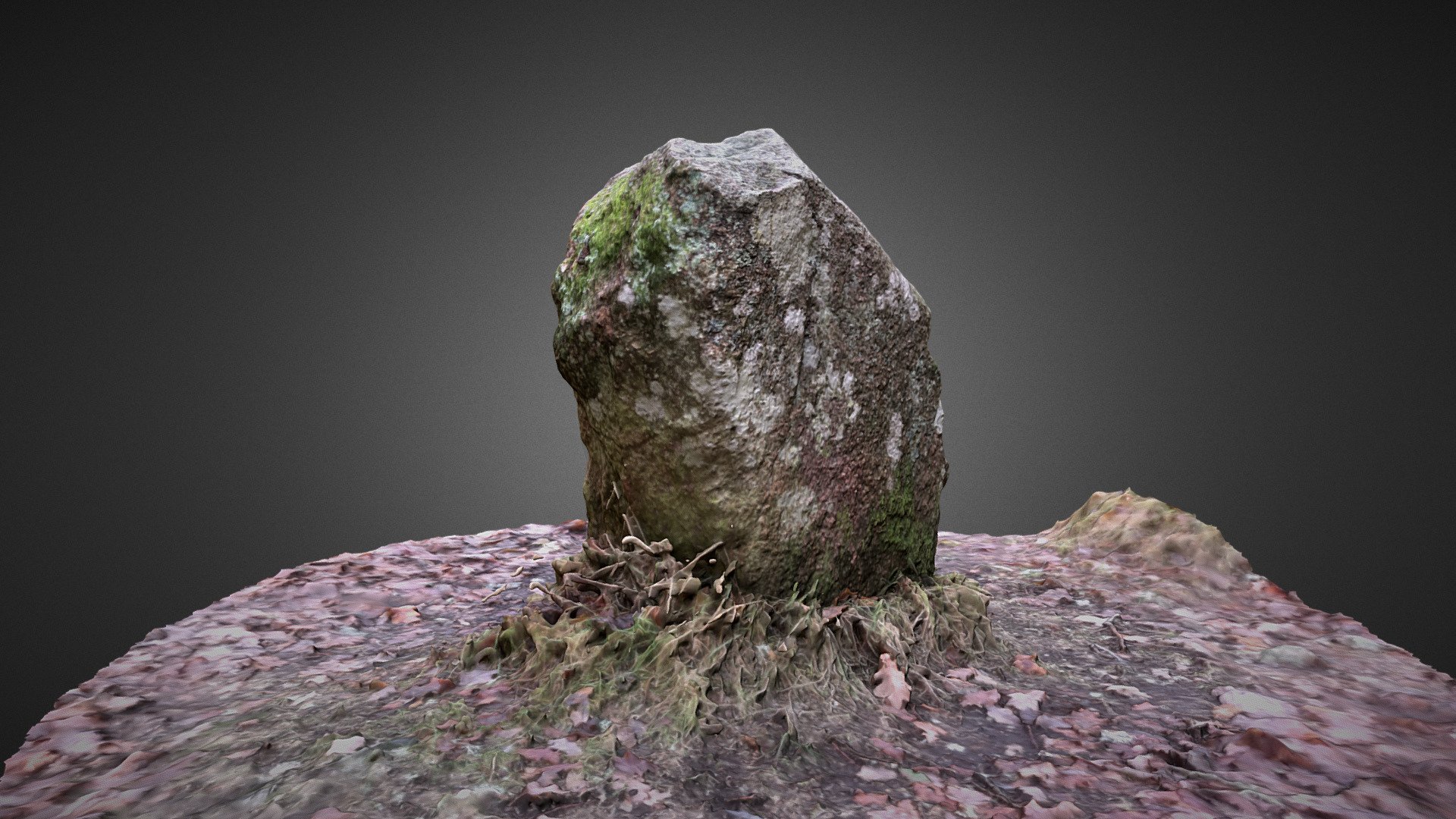 Aboyne Stone Circle, Scotland