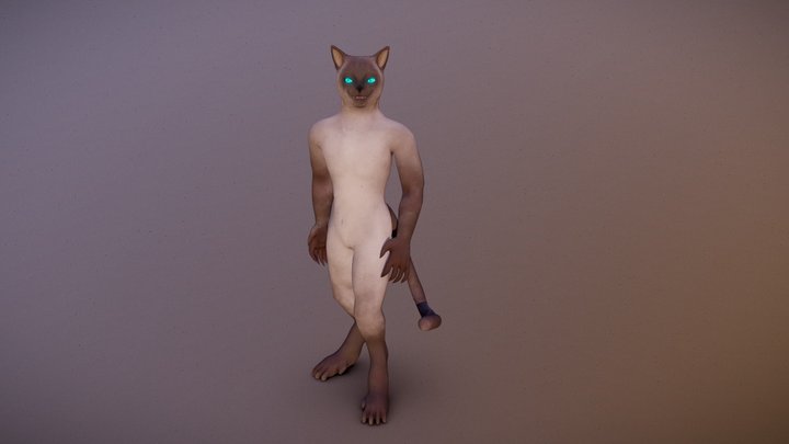 Siamese Werecat 3D Model