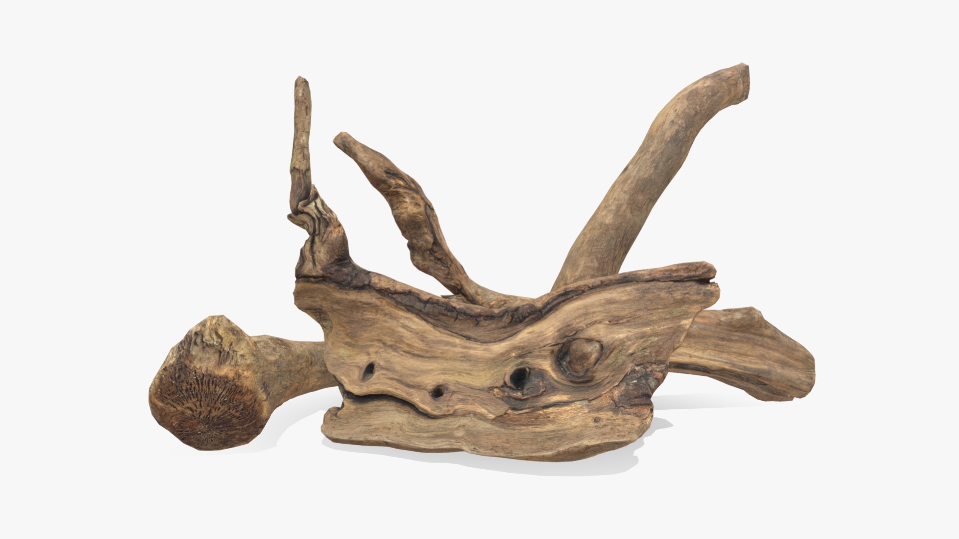 3D model Old Wood Roots - This is a 3D model of the Old Wood Roots. The 3D model is about a wooden carving of a deer.
