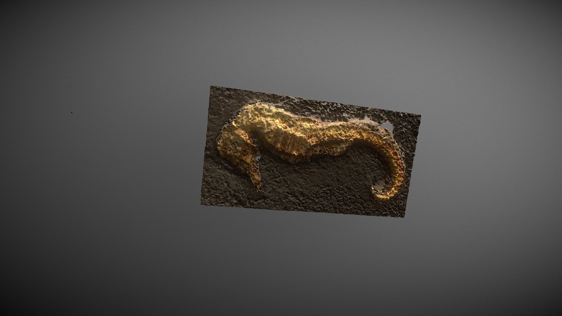 Sea-horse