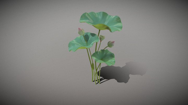 Lotus Bud Cluster _Tt – Kostenloses 3D-Modell STL