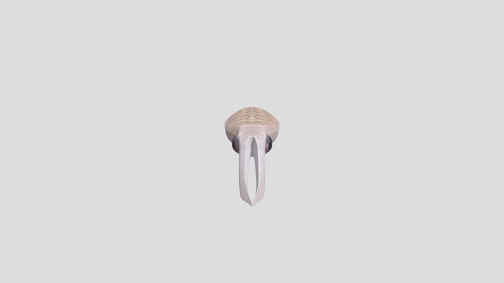 common cuttlefish