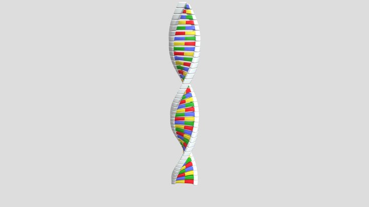 TSRPROJECT - DNA COLORIDO 3D Model