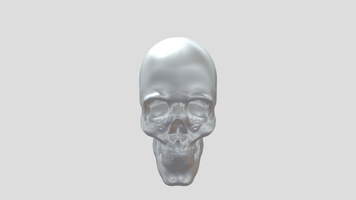 Skull_2 3D Model
