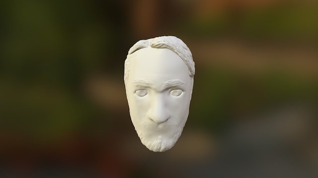 Face Sculpting WIP 1 3D Model