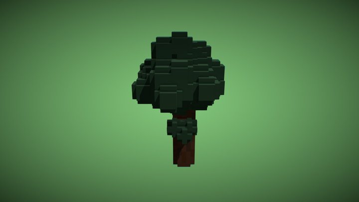 Amazonia Agua Nordeste Amazonia 3D Model