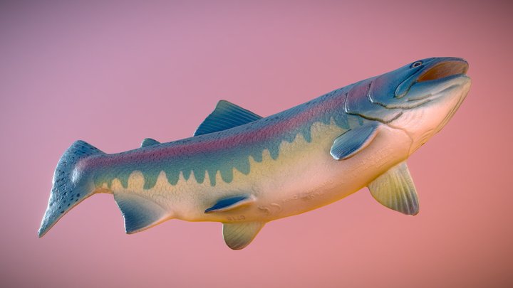Salmon toy 3D Model