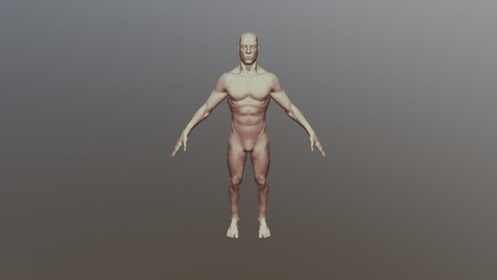 Human body anatomy study 3D Model