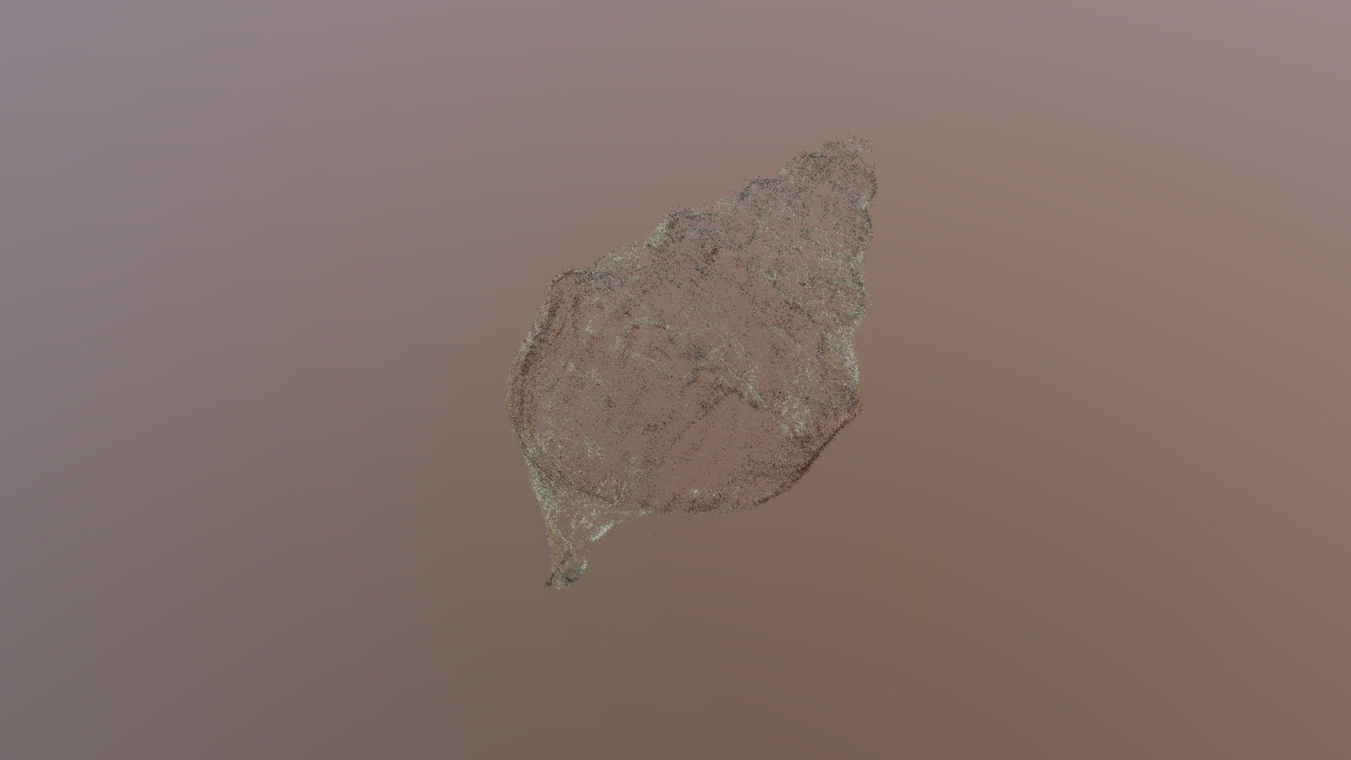 Shell2 - 3D model by nolanwindham [c0b3cf8] - Sketchfab